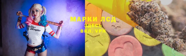 ПСИЛОЦИБИНОВЫЕ ГРИБЫ Баксан