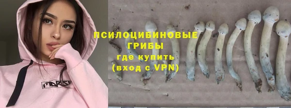 ПСИЛОЦИБИНОВЫЕ ГРИБЫ Баксан