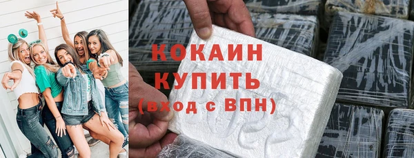 шишки Беломорск