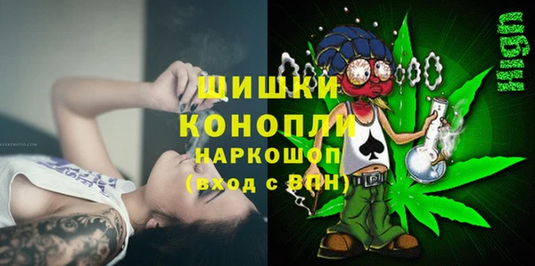 шишки Беломорск