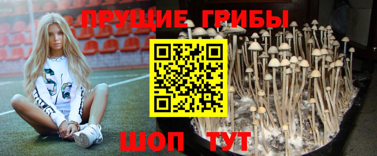 Галлюциногенные грибы мицелий  Вход с VPN  Калуга 